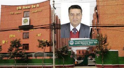 प्रताप सुवेदी कृषि विकास बैंक