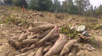 तरुल खन्न चटारो