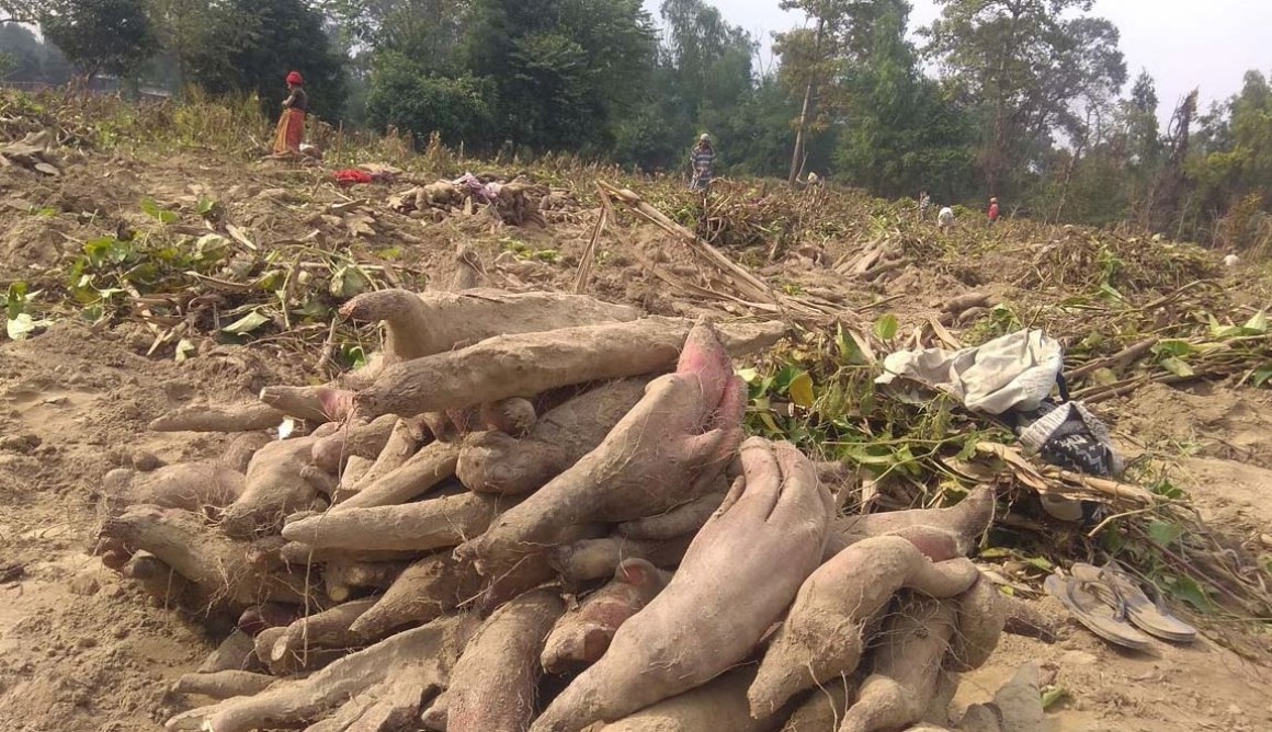 तरुल खन्न चटारो