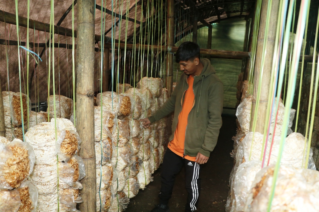 च्याउ खेती