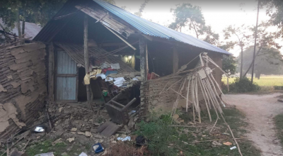 सप्तरीमा जङ्गली हात्तीले पाँचवटा घर भत्कायो