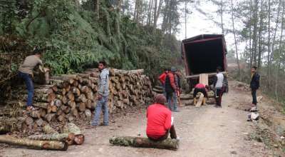 काठ निर्यात