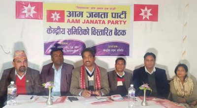 आम जनता पार्टी