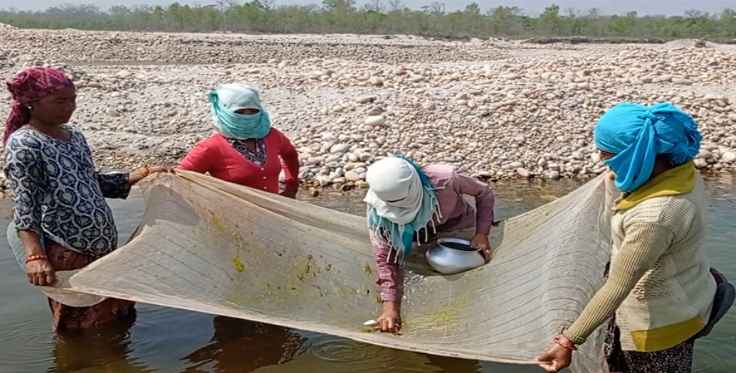 सोनाह जाति