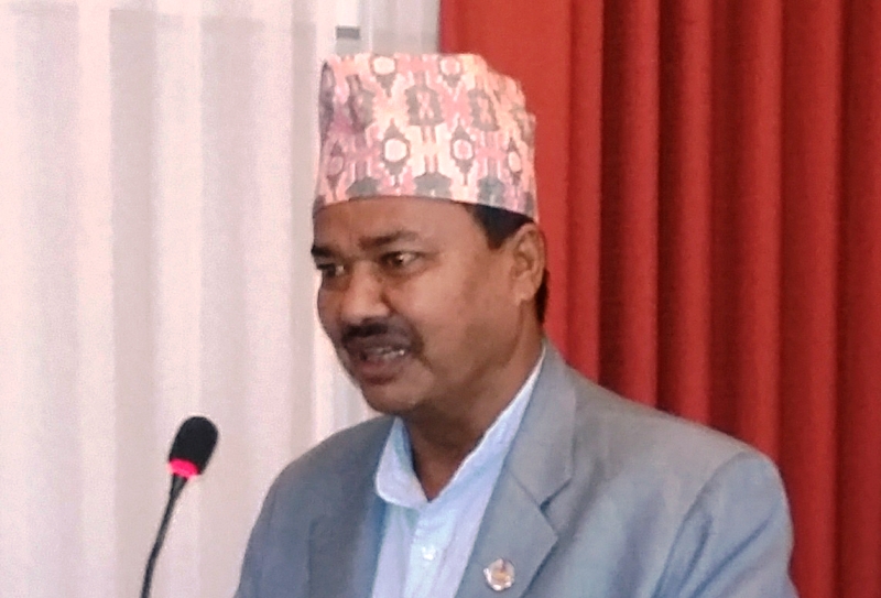 डिल्लीबहादुर चौधरी