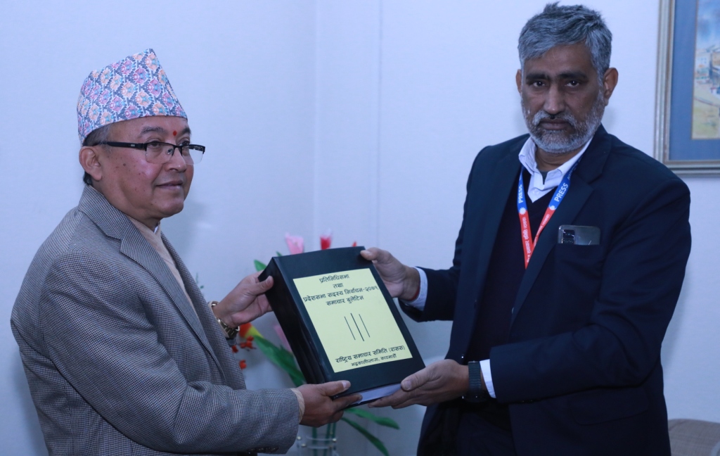 दिनेशकुमार थपलिया र धर्मेन्द्र झा