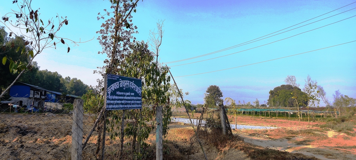 जडीबुटी खेती