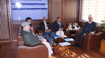 मस्यौदा कार्यदल