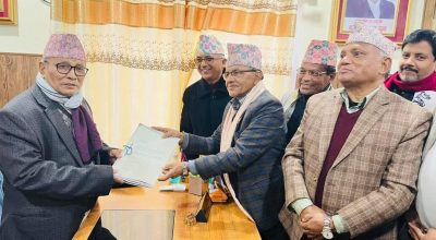 लीला गिरी