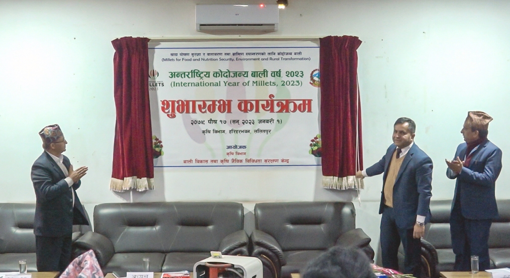 अन्तर्राष्ट्रिय कोदोजन्य बाली वर्ष सुरु