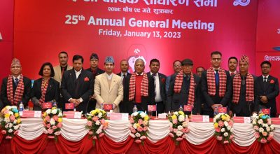 एनआई सी एशिया बैंक