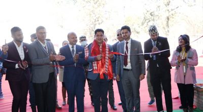 दामोदर भण्डारी