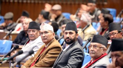 प्रतिनिधिसभा_संसद