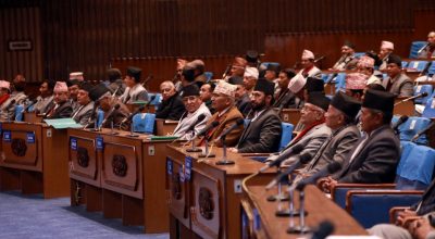 प्रतिनिधिसभा_संसद