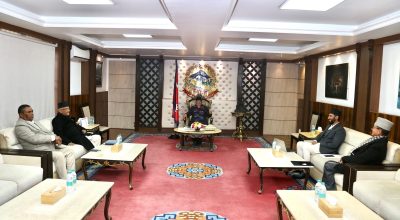 सत्ता साझेदारको दलको बैठक