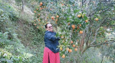 तारा अर्याल