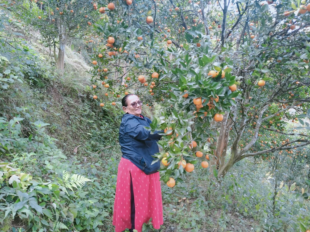 तारा अर्याल