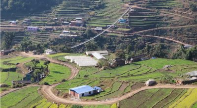 तरकारी गाउँ