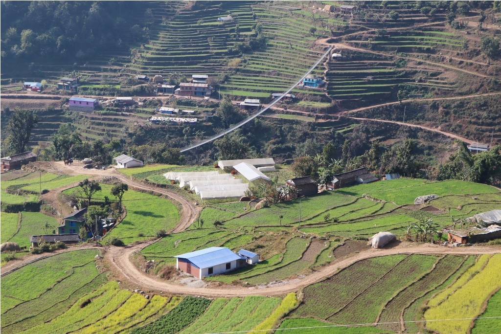 तरकारी गाउँ