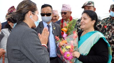 विद्यादेवी भण्डारी