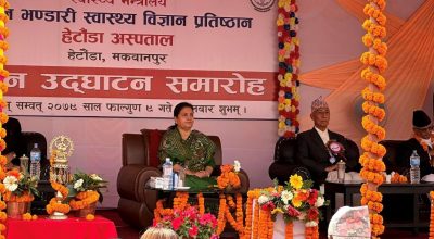 विद्यादेवी भण्डारी हेटौडा