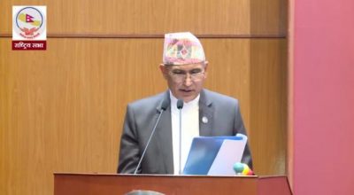 बिष्णुप्रसाद पौडेल राष्ट्रिय सभा