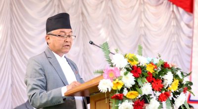 दिनेश कुमार थपलिया