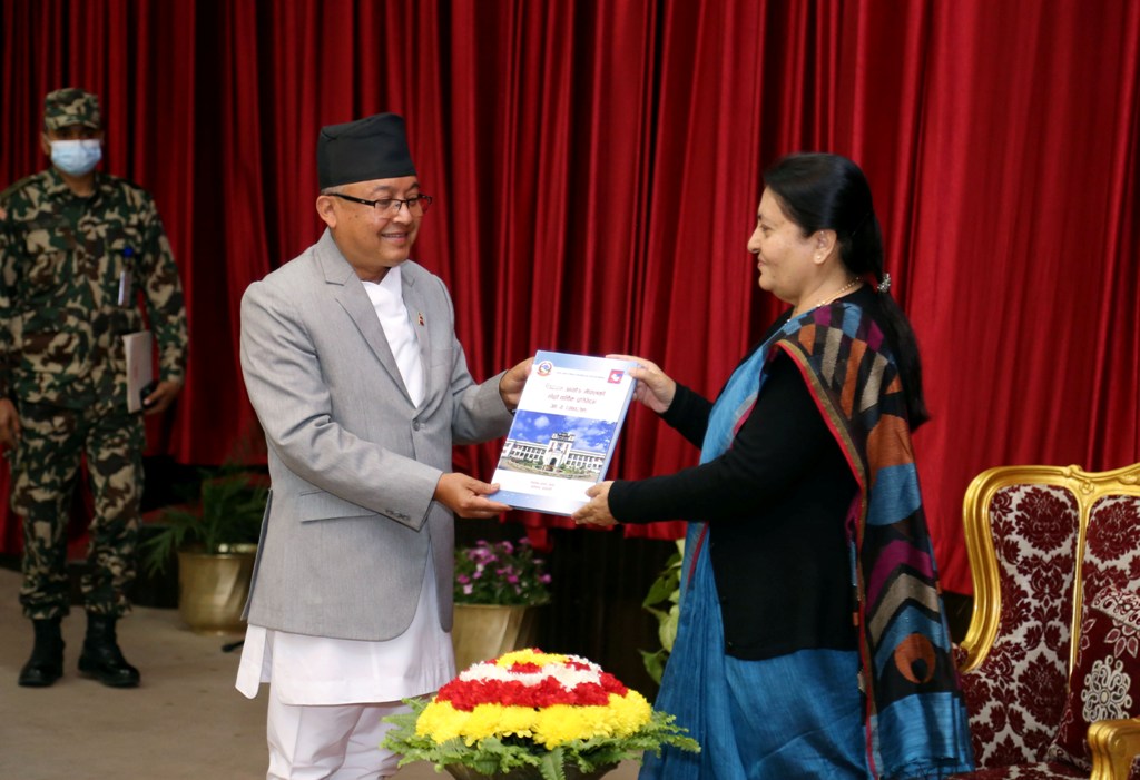 विद्यादेवी भण्डारी र दिनेशकुमार थपलिया