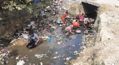 फोहरमा पनि सुन फल्छ