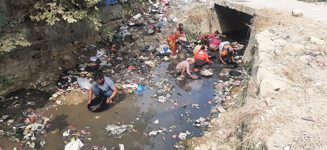 फोहरमा पनि सुन फल्छ