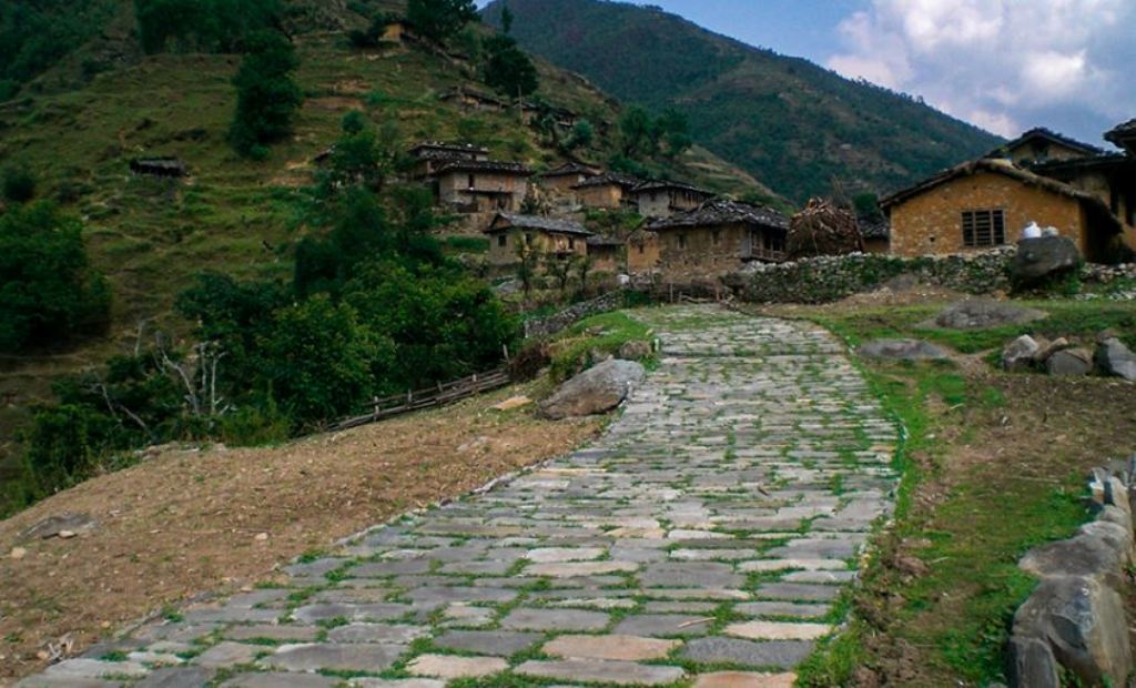 गुरिल्ला पदमार्ग