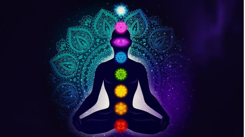 हाम्रो शरीर