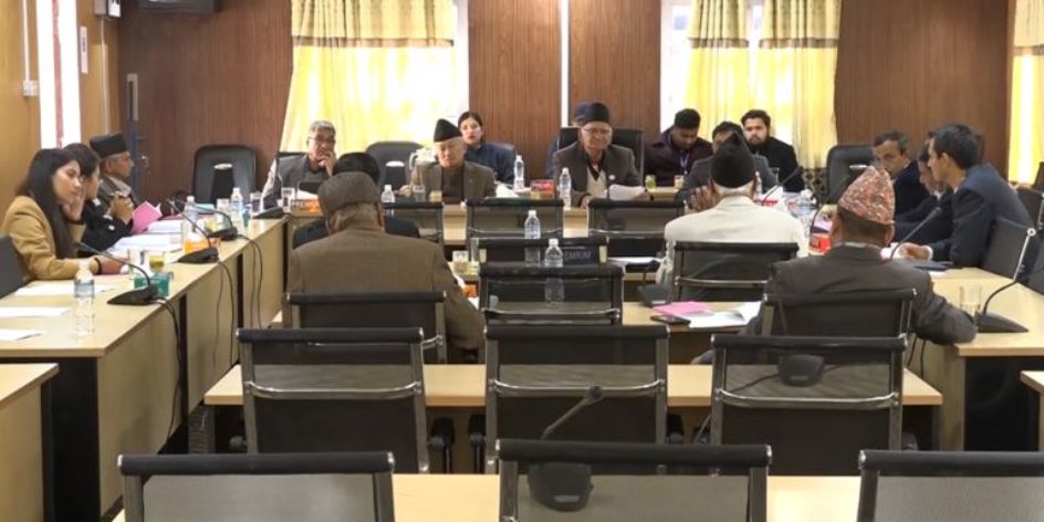 नियमावली मस्यौदा समिति