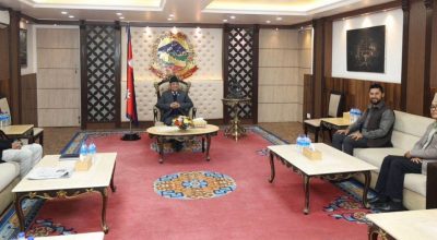 उच्चस्तरीय राजनीतिक संयन्त्र