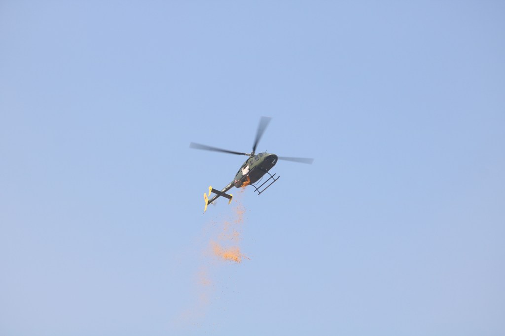 महाशिवरात्रि र सेना दिवस