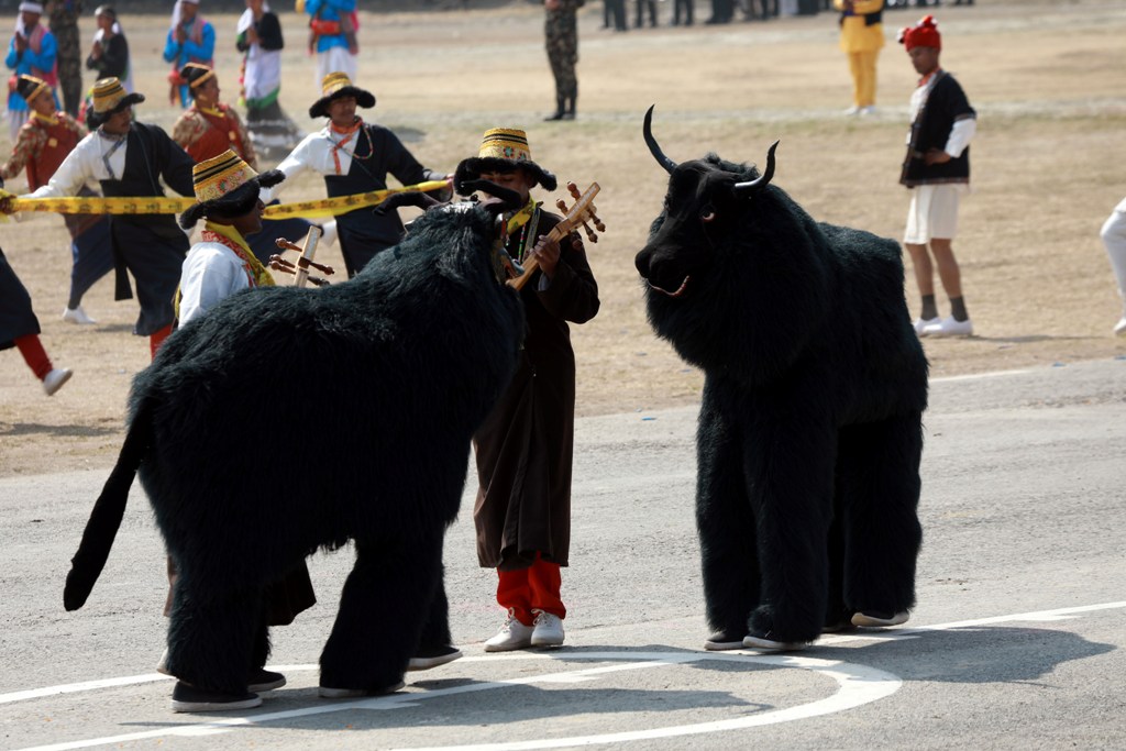 महाशिवरात्रि र सेना दिवस 