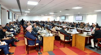 एकीकृत कार्ययोजना