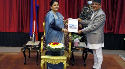 विद्यादेवी भण्डारी र दिनेशकुमार थपलिया