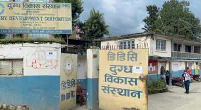 दुग्ध विकास संस्थान