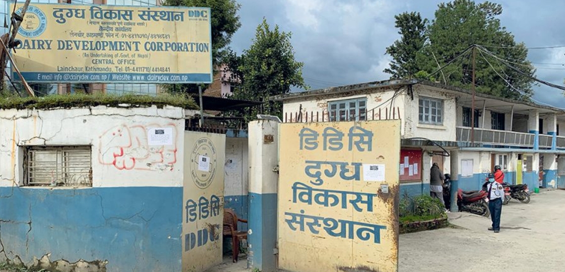 दुग्ध विकास संस्थान