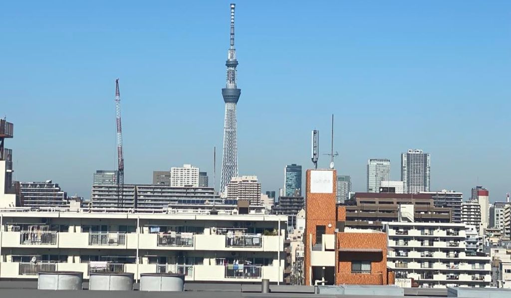 जापानको अनुभव