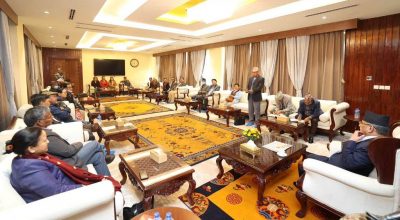 छानबिन समिति गठन