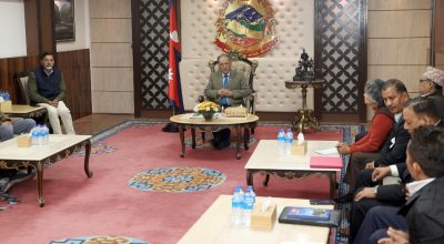 माओवादी घटक