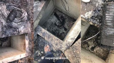 नेपाल टेलिकम