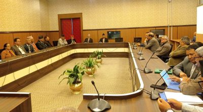 कांग्रेस केन्द्रीय कार्यसम्पादन समितिको बैठक