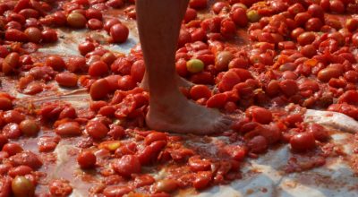 गोलभेँडा होली