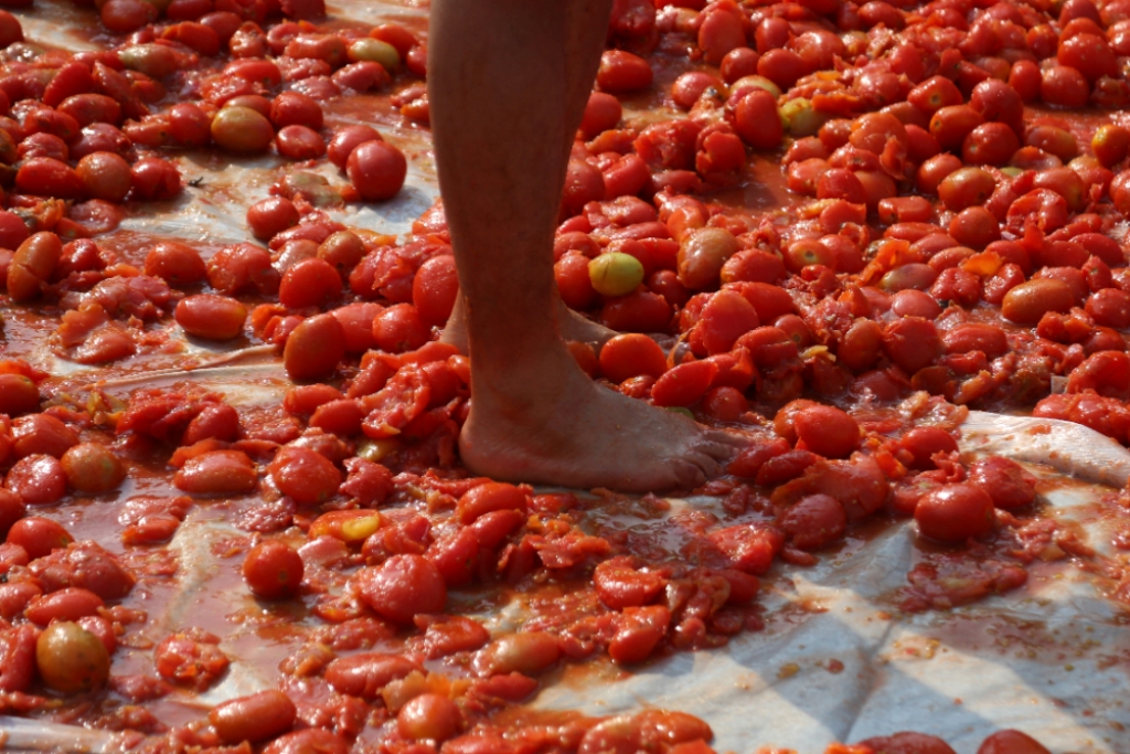 गोलभेँडा होली