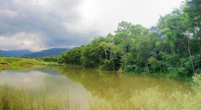 दाङको चरिङ्गे दह