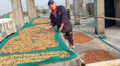 विदेशमा सीप सिकेर स्वदेशमा लगानी