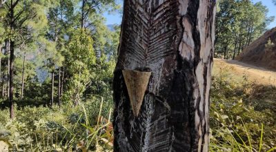 खोटो संकलन